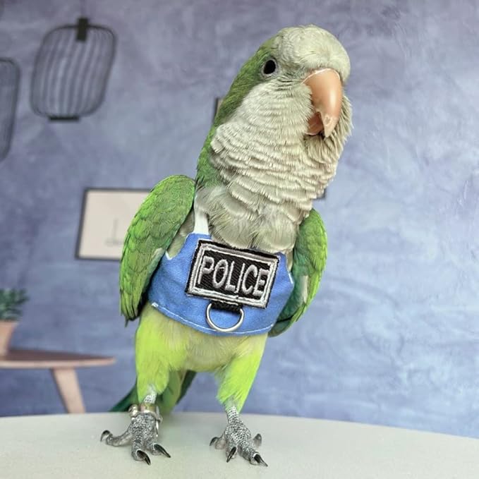 Bird Flight Harness Vest, Parrot Flight Suit with Leash, Bird Flying Clothes with Rope and Handle for Outdoor Activities (Without Leash,Lovebird)