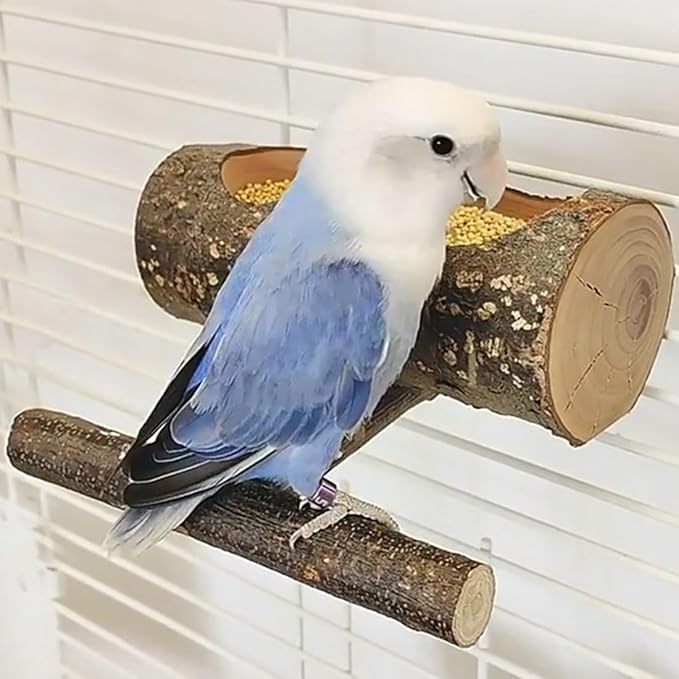 Small Bird Feeding Dish Cups, Removable Pet Food Bowl for Cage, Parrot Feeding Bowls for Finches Lovebirds Budgie Cockatiel Parakeet