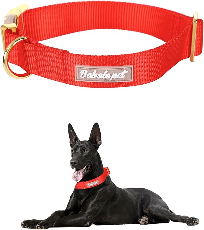 Nylon Dog Collar - Adjustable Red Soft Webbing Dog Collars for Small Medium Large Dogs Boy Girl Puppy Collar with Safety Metal Buckle XL