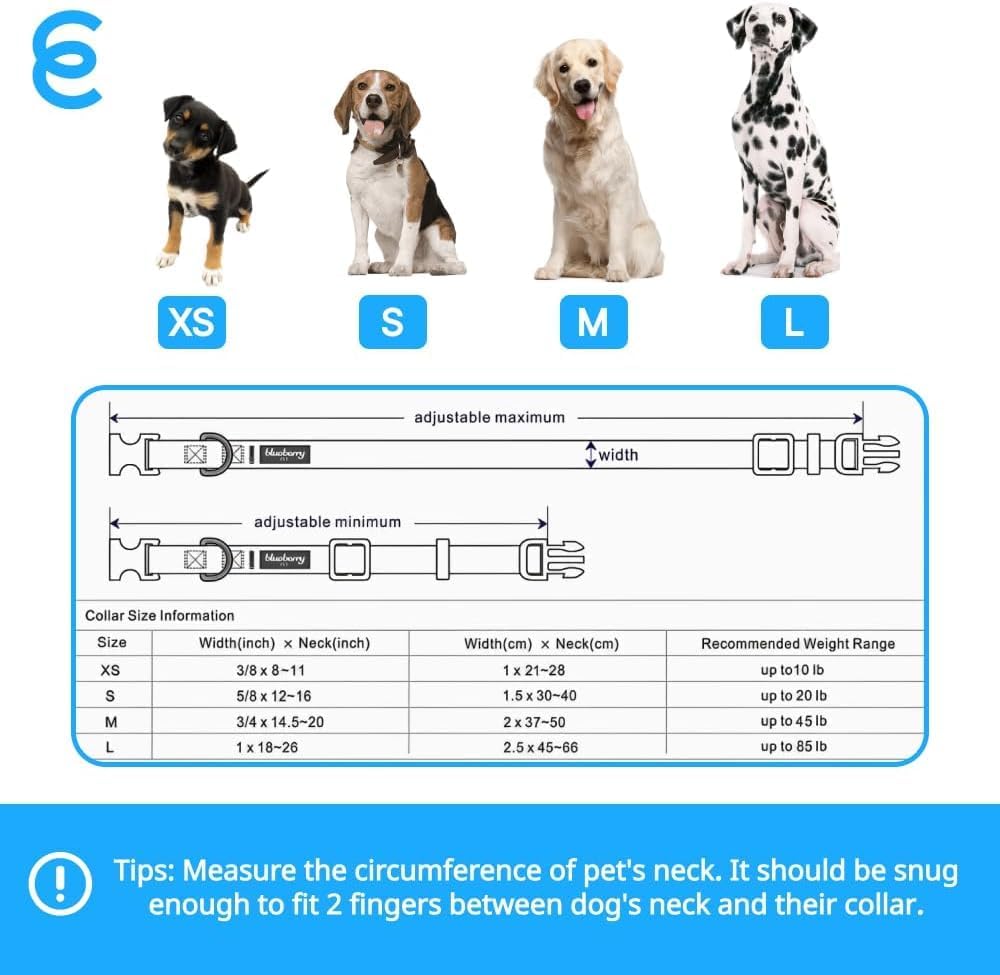 Blueberry Pet Essentials Large Dog Collar in Emerald | Adjustable & Eco-Friendly Durable Nylon Strap | Classic Collar for Large Dogs, Boy & Girl Pets