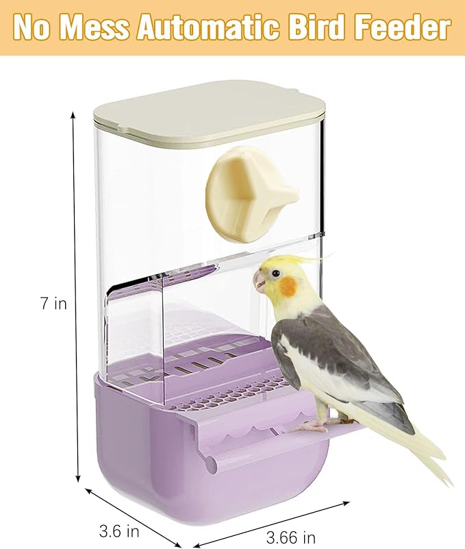 BNOSDM No Mess Bird Cage Feeders Automatic Bird Feeder Parrot Cage Accessories Transparent Seed Food Container with Perch for Finches, Parakeets, Budgies, Lovebirds, Cockatoos, Canaries（Purple）