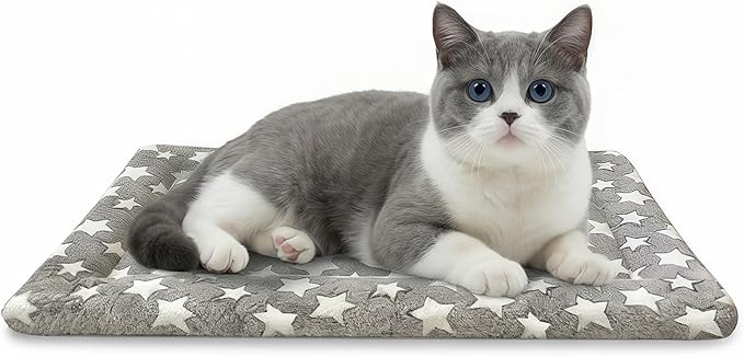 Dog Bed Mat, Dual-Sided Dog Crate Bed Mat - Ultra Soft & Machine Washable Kennel Pad for Cats and Extra Small Dogs, All-Season Comfort Pet Bed for Crates, Travel, and Home, Star Gray, 18 x 14 Inch