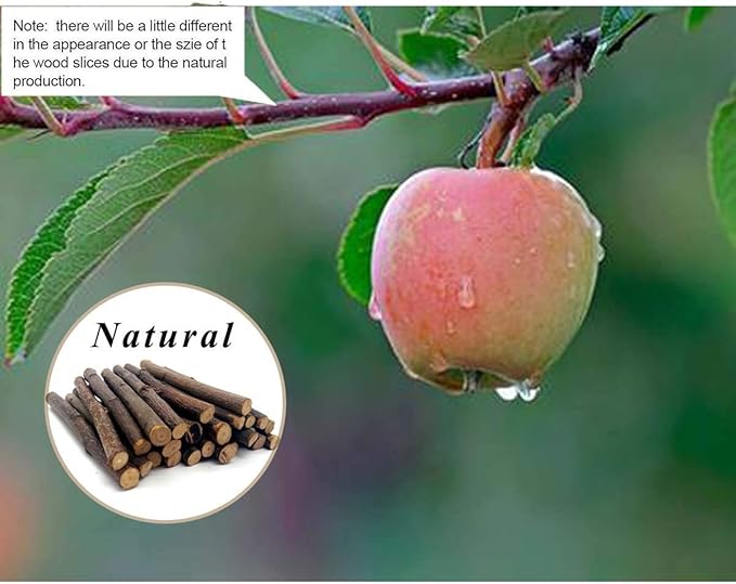 William Craft Apple Sticks Pet Chew Toys Treats for Chinchilla Guinea Pigs Rabbits Squirrel Hamster Bunny
