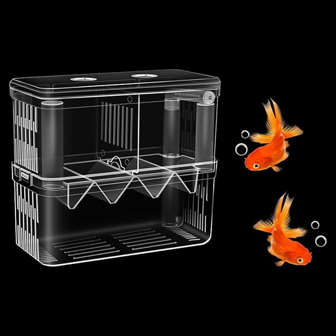 Double Room Breeding Box for Fish Tank, Fish Tank Aquarium Betta Guppy, PC Transparent Large Aquarium Kit More Convenient for You to Watch Ornamental Fish and Shrimps(Large)