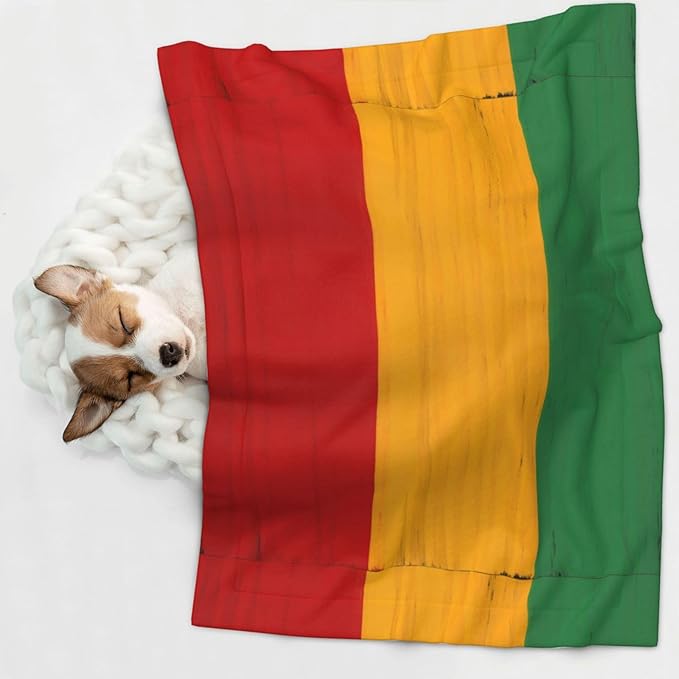 Pet Blanket for Travel and Home, Black History Month, Reversible Plush Dot Design with Soft Grip Texture on One Side Perfect for Car Seats Moving Vehicles