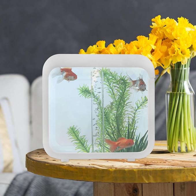 Plastic Aquarium Miniature Kits Small Aquarium Mini Fish Tank Small with LED Lighting Fish Landscape Box Desktop Decoration LED Creative
