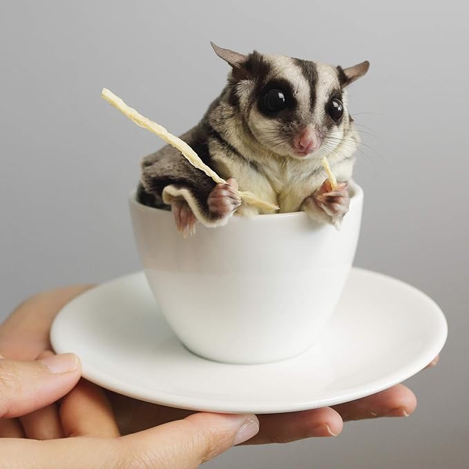 Omega YUMS Fish Stick Treat for Sugar Gliders | All Natural & Made with Real Fish 2 oz