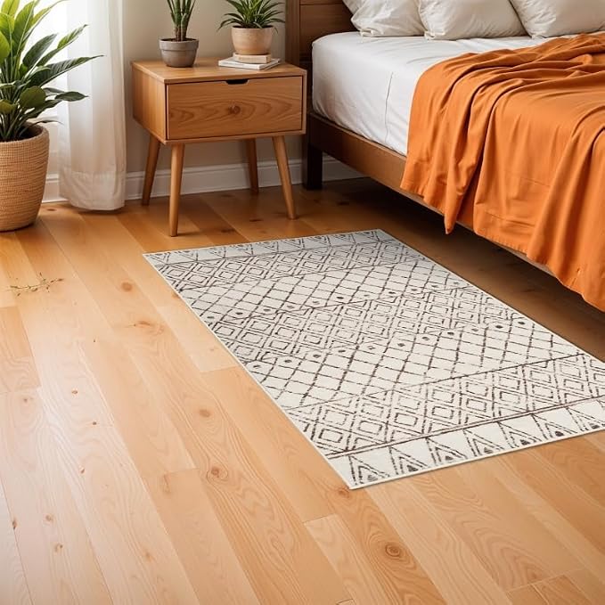 Small Rug 2x3 Washable