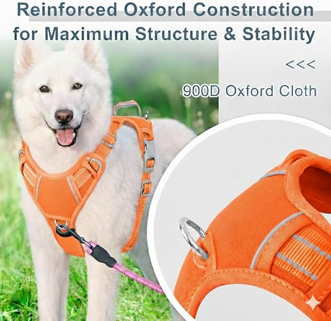 BARKBAY Dog Harness No Pull Oxford with ID Tag Pocket - Heavy Duty, Reflective, Easy Control for Large Dogs(Pumpkin Oxford,XS)