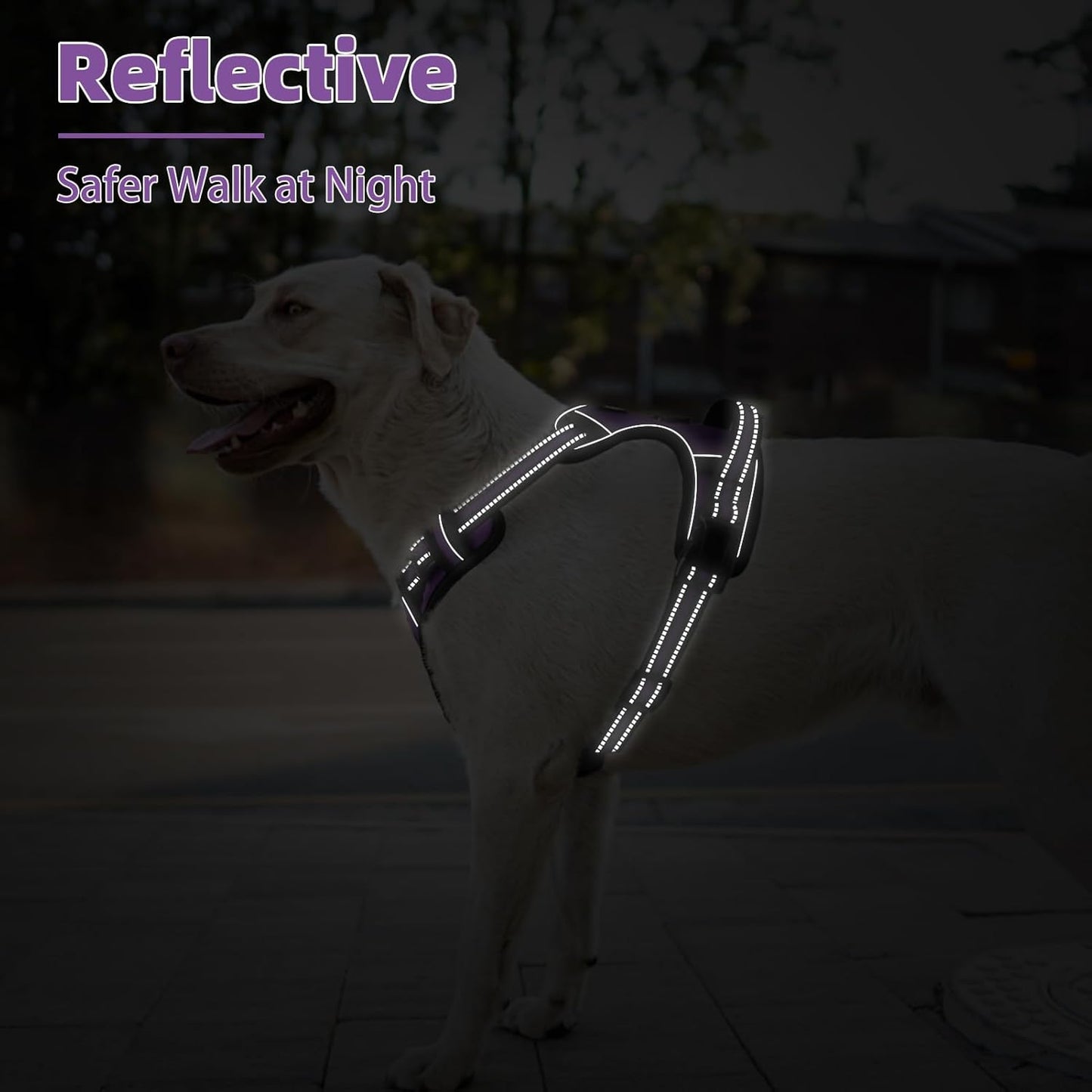 PUPTECK No Pull Dog Harness for Large, Adjustable Reflective Dog Harness with Handle Easy Control, Comfortable Soft Padded Pet Vest Harness for Extra Large Dogs, Solid Purple XL