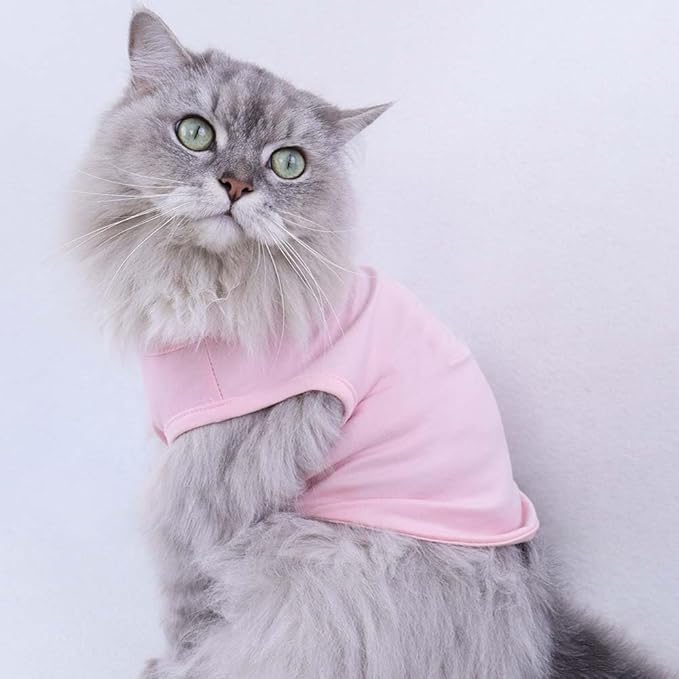 Custom Dog Birthday Shirt,Personalized Pet Apparel Print with Name Age Number,Pet Birthday Outfit,Lightweight Breathable Cotton Vest for Small Medium Large Dogs Cat (White + Black Border, Small)