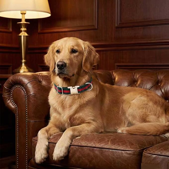 Premium Dog Collar, Cute Dog Collars Luxury Style, Durable Pet Collars with Metal Buckle Safety for Big Dogs