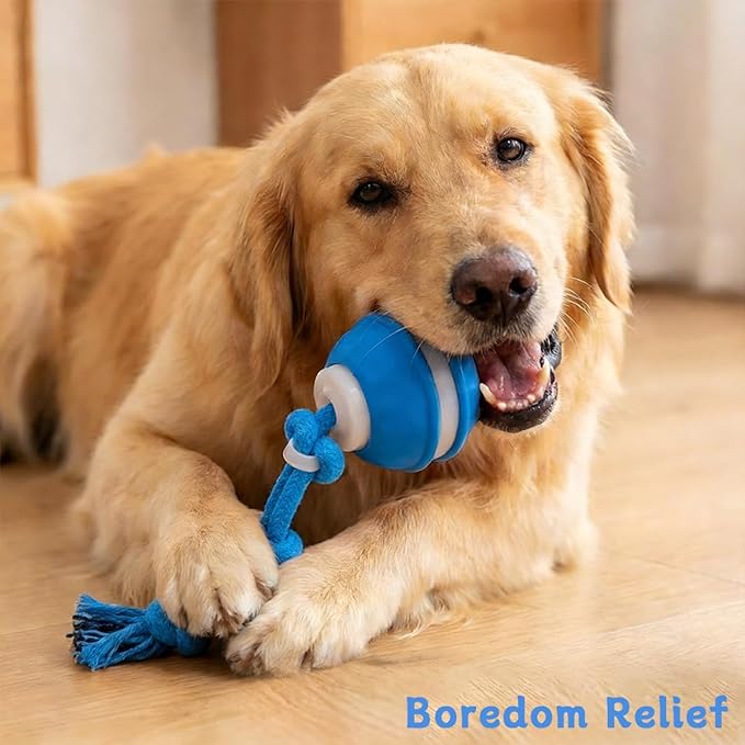 Zealburst Interactive Dog Toy, 360° Smart Automatic Rolling Moving Toy for Bored Dogs & Cats, Self-Moving Pet Toy,Blue