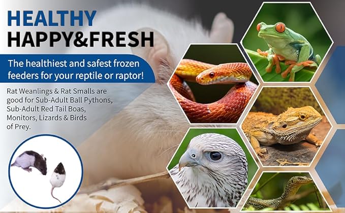 MiceDirect EST. 2003 10 Frozen Rat Combo Pack 5 Rat Weanlings and 5 Rat Small Feeders Snake Food for Juvenile Ball Pythons and Monitors (3.5-6 in)(375 Grams Min)