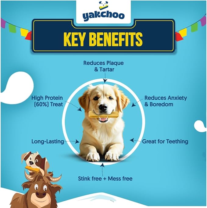 Himalayan Yak Chews for Dogs – Blueberry, Strawberry & Cranberry | Medium Bars 70g (Pack of 3) | 100% Natural, Long-Lasting, Protein & Calcium Rich Treats for All Breeds