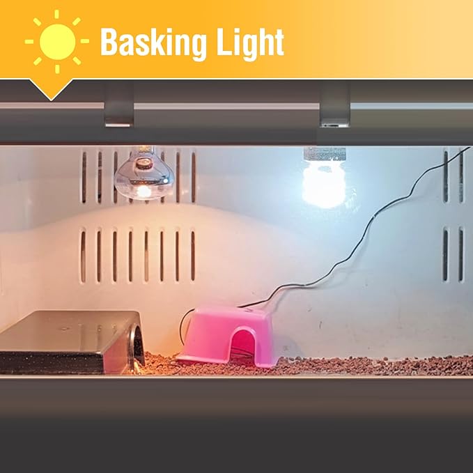Leoterra Reptile UVB Light Bulb UVA UVB Reptile Lamp - 13W 5.0 Energy Efficient UVB Lamp for Geckos,Green Iguanas,Frog - E26 Base Dual Lighting Fixture with 8000H Long Lifespan