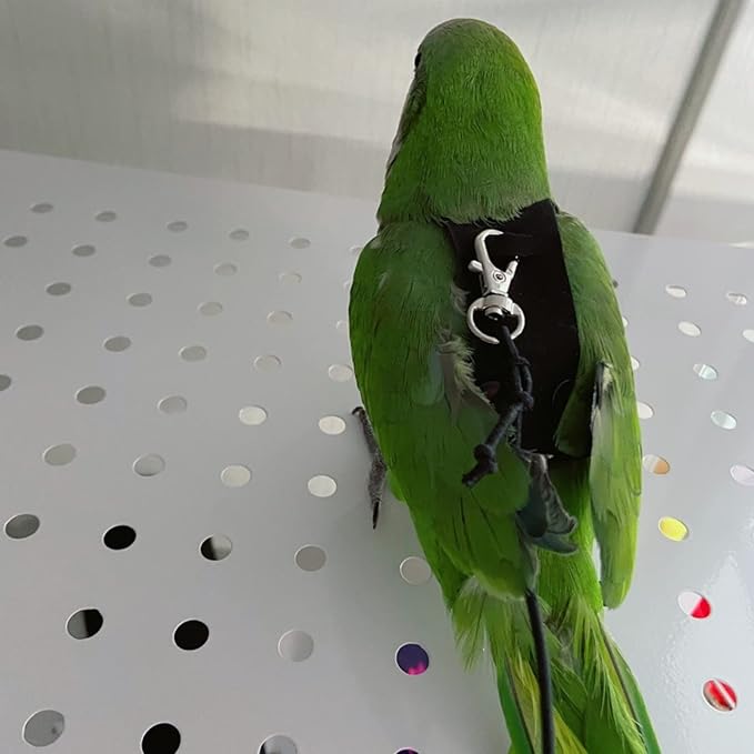 Bird Flight Harness Vest, Parrot Flight Suit with Leash for Parakeets Cockatiels Conures Budgies, Bird Flying Clothes with Rope and Handle for Outdoor Activities Training, Anti Bite (X-Small)