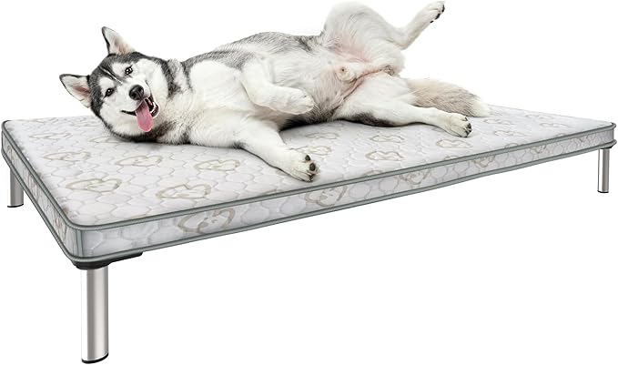 FXW TitanNest Chew-Proof Elevated Dog Bed, Raised Cot for Indoor/Outdoor/Camping Use, Durable & Waterproof Cooling Pet Bed with Exclusive Cover for Medium Dogs, 41.0" L x 27.0" W x 5.0" H, Black