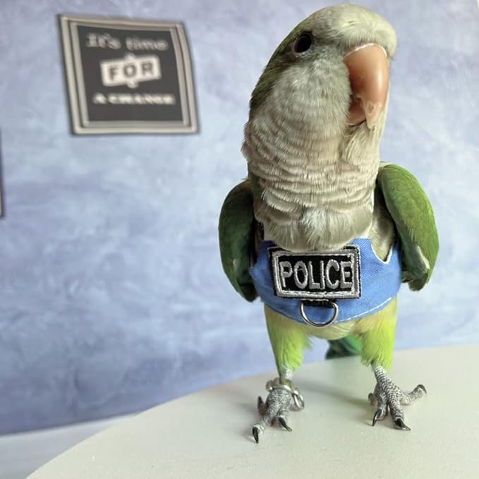 Bird Flight Harness Vest, Parrot Flight Suit with Leash, Bird Flying Clothes with Rope and Handle for Outdoor Activities (with Leash,Lorikeet)