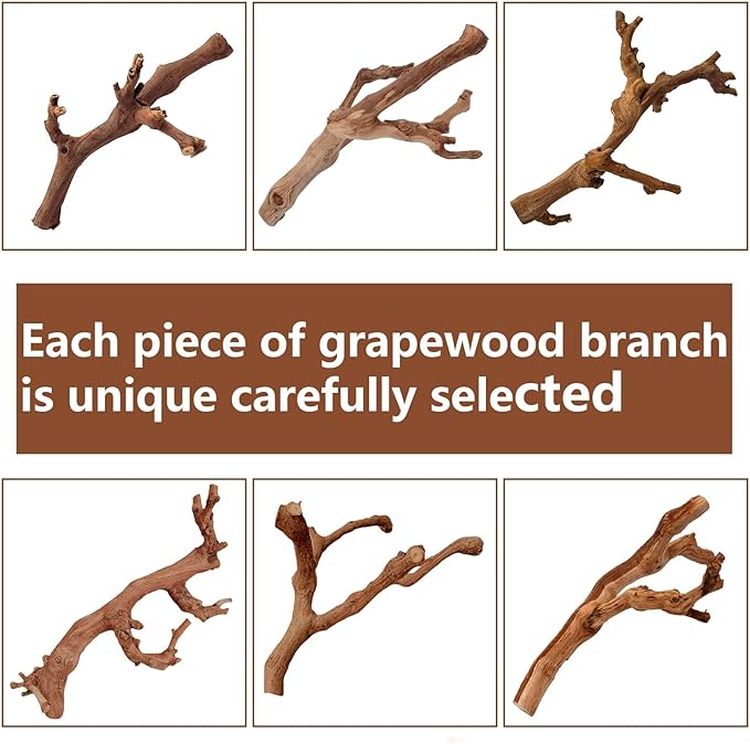 BNOSDM 2PCS Reptile Wood Branches Decor,Lizard Habitat Natural Wood Decoration,Snake Climbing Branch Accessories,Terrarium Tree Trunk Ornament for Bearded Dragon Gecko Frog Chameleon Spider
