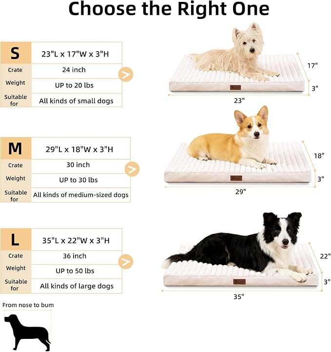 Orthopedic Dog Bed with Firm High-Density Egg Crate Foam, Machine Washable Cover & Non-Slip Bottom for Medium Breeds (Beige, 29" L x 18" W x 3" H)