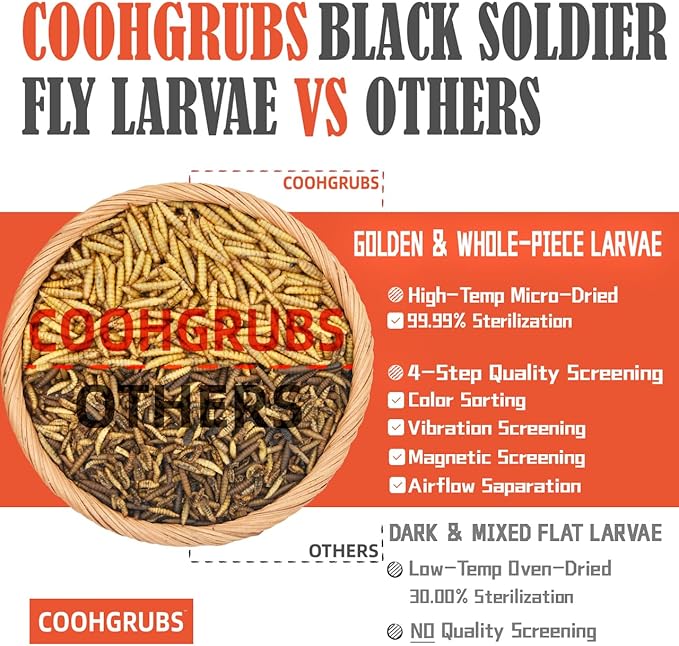 Dried Black Soldier Fly Larvae for Chickens, High-Calcium 85X More Than Mealworms Bird Treats, 10-lb Box