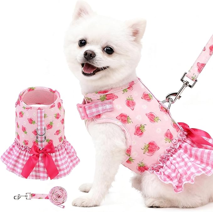 EXPAWLORER Dog Harness Small Medium Sized Dogs, Plaid Dog Dress Bowknot Harness and Leash Set, No Choke No Pull Soft Mesh Vest Cute Princess Puppy Outfits Clothes Costume for Girls Party Cats Pink XS