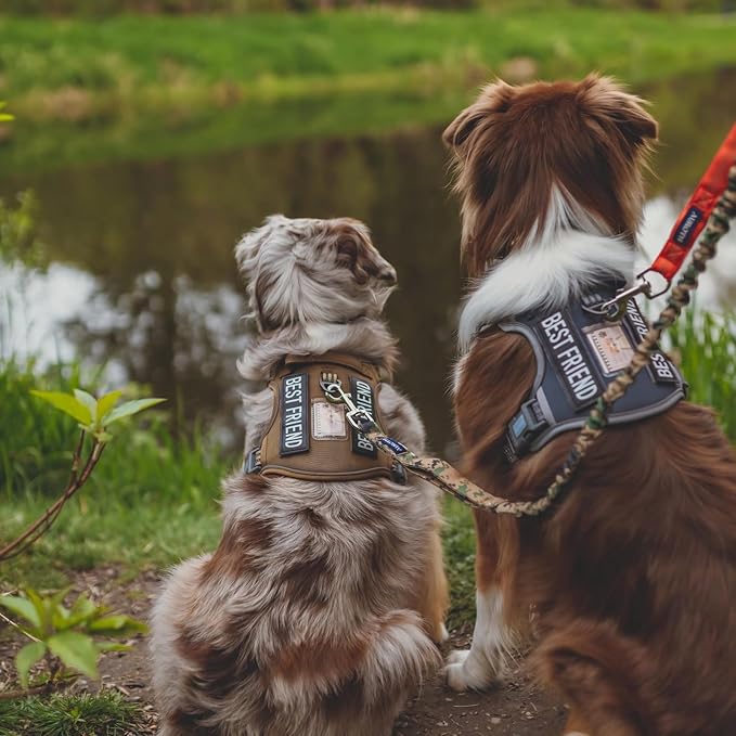 Auroth Tactical Dog Harness for Small Medium Dogs No Pull Adjustable Pet Harness Reflective Working Training Easy Control Pet Vest Military Service Dog Harnesses Grey S