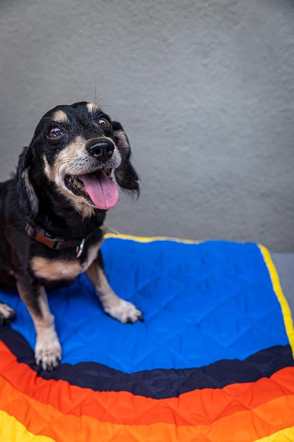 Waterproof Blanket, 29" x 34” - Seat Cover for Dogs and Pets. Ideal for Small and Medium Pet Crate Blankets, Settle mat, Diaper Changing and Playmat for Babies