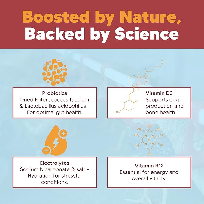 Flock PRO Hen Boost - Digestive Supplement for Hens | Chicken Vitamins and Supplements | Probiotics, Digestive Enzymes, Electrolytes for Adult Poultry-8 OZ