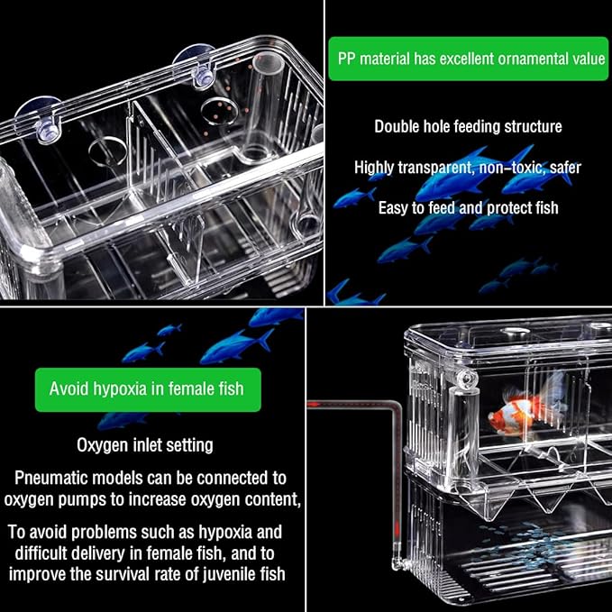 Double Room Breeding Box for Fish Tank, Fish Tank Aquarium Betta Guppy, PC Transparent Large Aquarium Kit More Convenient for You to Watch Ornamental Fish and Shrimps(Large)