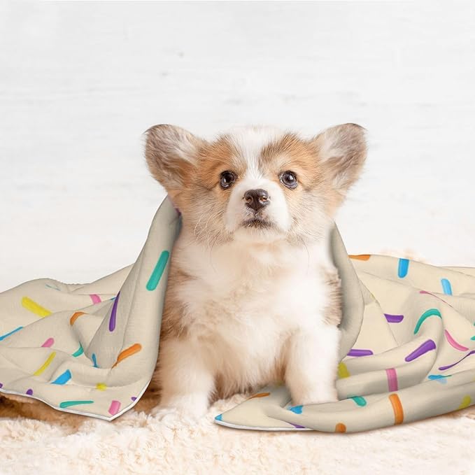 Pet Blanket for Couches and Beds, White Donut, Reversible Double Sided Plush Design with Soft Bumpy Texture and Smooth Surface, Furniture Protector