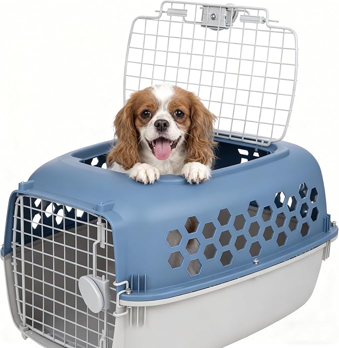 24" Pet Kennel Carrier for Small Dogs & Cats - Portable & Travel-Ready Two-Door (Top/Front Loading), Durable Blue Plastic