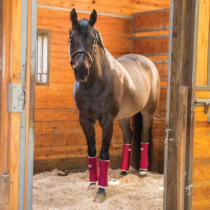 Dura-Tech Standing Wraps for Horses | Color Green | Optimal Comfort & Support | Ideal for Post-Exercise & Trailering | Right Tension Application | Secure Closure