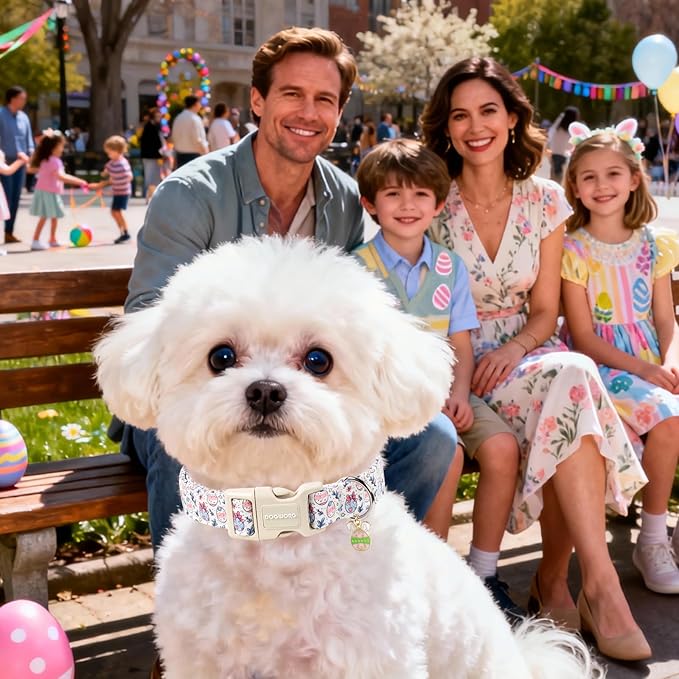 DOGWONG Cute Easter Egg Dog Collar, Adjustable Soft Egg Pet Collar for Small Medium Large Dogs,L Visit The Elegant Little Tail Store