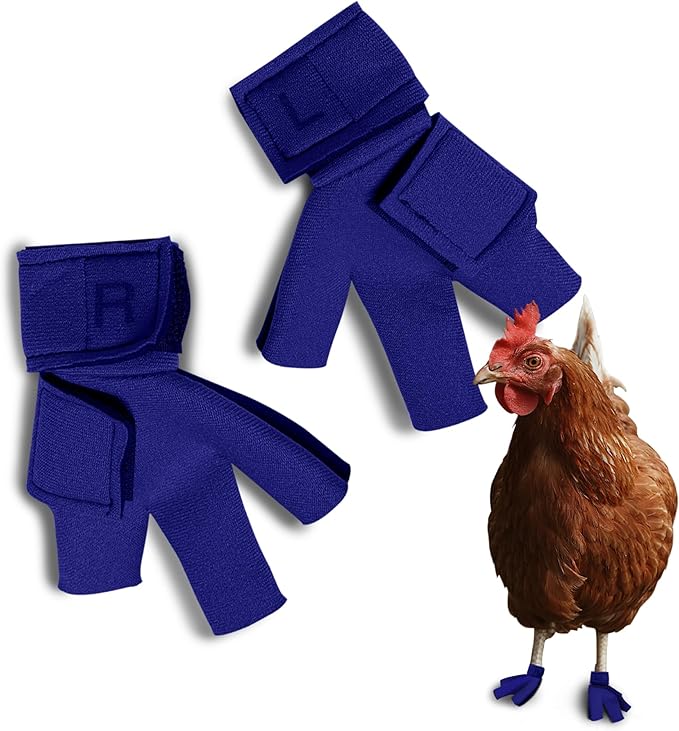 Chicken Shoes for Injured Feet – Protective Neoprene Footwear for Chicken, Open-Toe Design for Bumblefoot Relief, Made in USA - Standard, 3" Max. Inside Width, Royal Blue