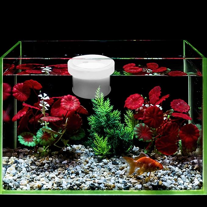Floating Fish Breeding Box with Lid : Transparent Acrylic Guppy Breeder Box Fish Breeding Tanks for Clownfish Shrimp, 4.72X4.72X3.14in