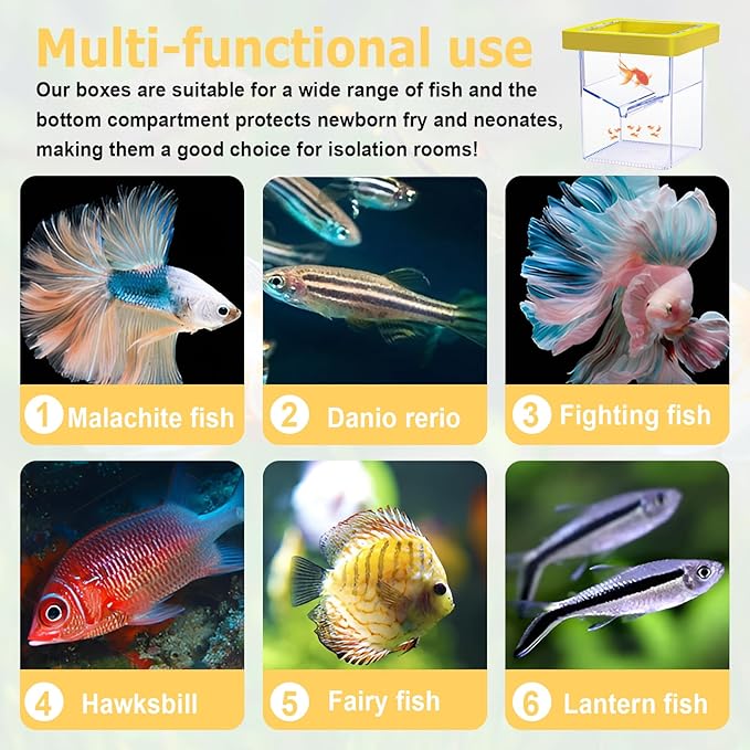 Floating Fish Breeding Isolation Box for Aquarium Tank, Acrylic Isolation Box for Baby Fish, Clownfish, Betta Eggs