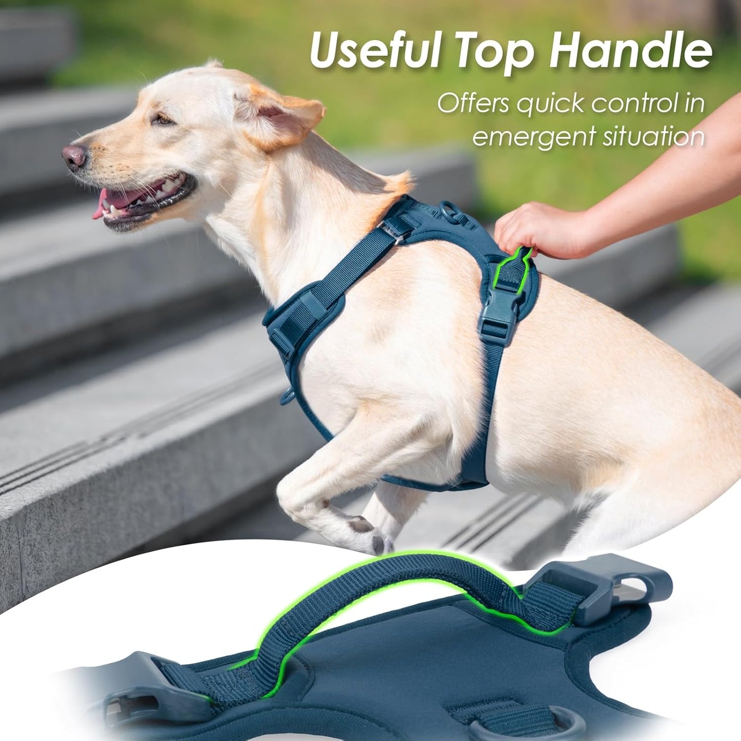 No Pull Dog Harness, Puppy Vest with Front Clip for Small Medium Large Sized Dog(Prussian Blue,XS)