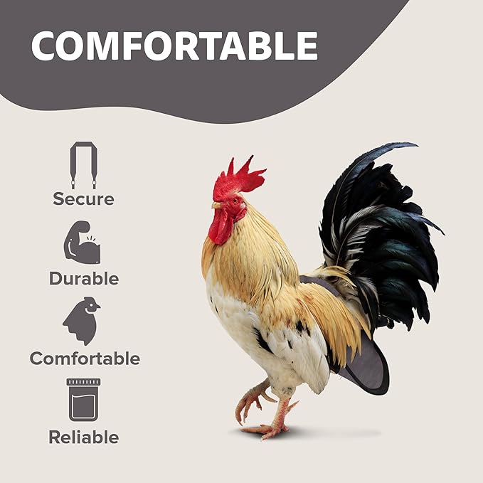 Hen Holster Bird Diaper, Wrap Around - for Hens, Roosters, Ducks, Geese, Leak-Proof Design, Comfortable Fleece Strap Bird Harness with Sewn-in Liner, Secure Hook and Loop Closure - S/M, Gray