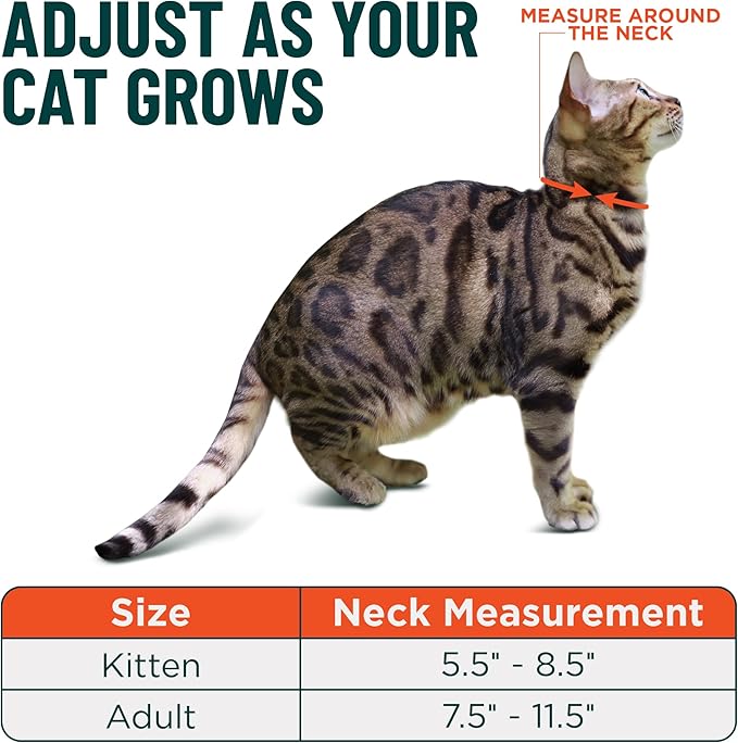 OutdoorBengal Orange Cat Collar Breakaway, Soft Padding for Medium to Large Cats - Durable Heavy Duty Tactical Fabric, Comfortable, Quick Release Breakaway Cat Collars, No Bell Collar (Orange, Adult)