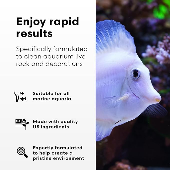 Brightwell Aquatics MicroBacter Clean - Microbial Culture & Enzyme Blend Fish Tank Cleaner - Cleans Live Rock Surfaces for Saltwater Fish Habitats - Aquarium Water Treatments, 8.45 fl oz