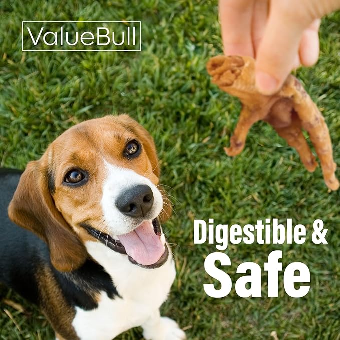 ValueBull Chicken Feet for Dogs, 50 Count - All Natural Dog Chew, Hip and Joint Chew, Single Ingredient Dog Treat