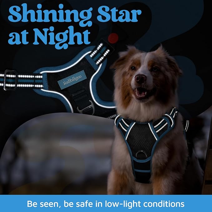 rabbitgoo Dog Harness for Large Dogs, No Pull Pet Vest with 3 Buckles, Adjustable Soft Padded Pet Harness with Easy Control Handle and Reflective Strips, Black & Sky Blue, L