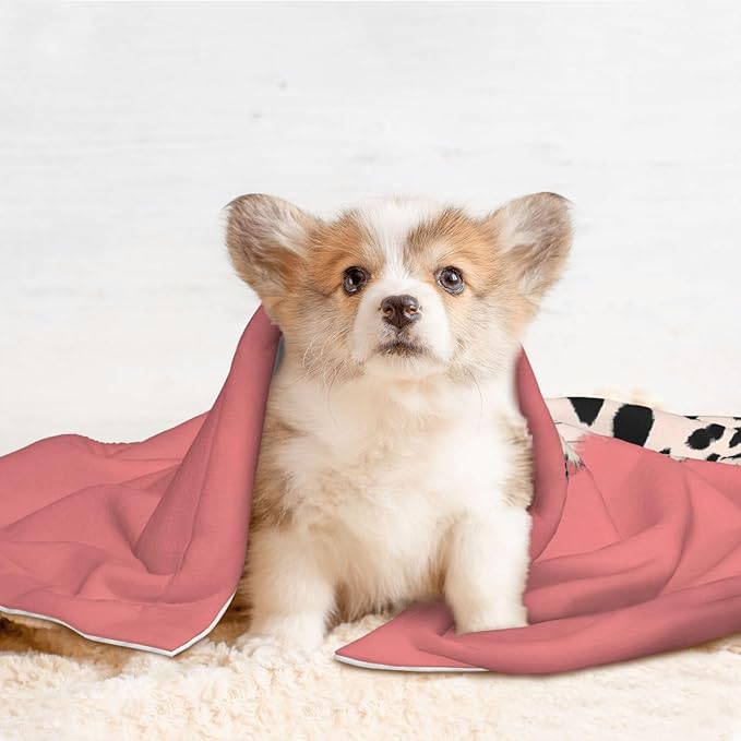 Cheetah Art Print Soft Plush Pet Blanket, Washable Dog Blanket, Cat Fleece Throw, Puppy Bed Crate Mat & Sofa Couch Protector - Medium