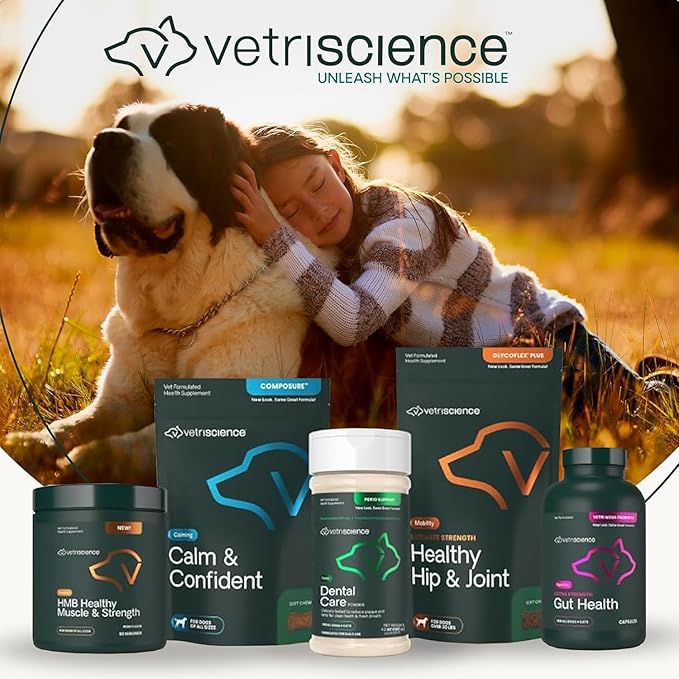 VetriScience Ultimate Strength Hip & Joint Supplement for Dogs, GlycoFlex Plus – MSM, Chondroitin & Green-Lipped Mussel Chews for Mobility, Flexibility, Comfort & Support, Duck Flavor, 120 Cnt