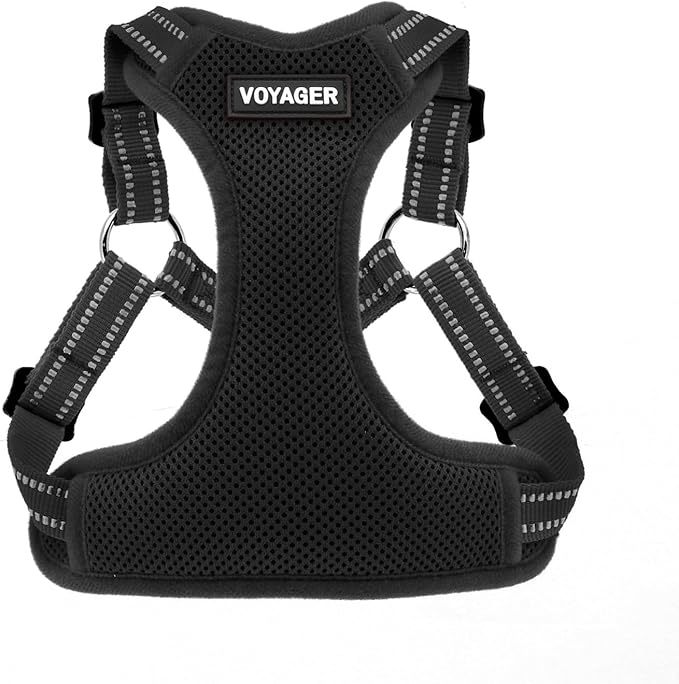 Best Pet Supplies Voyager Adjustable Step-in Flex Breathable Mesh Dog Harness for Small Medium Large Dogs (Black), S
