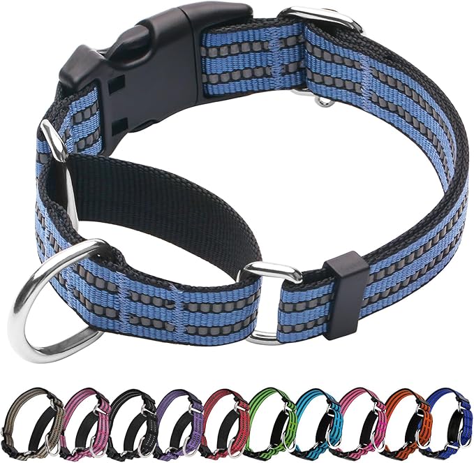 Martingale Dog Collar, Adjustable Nylon Reflective Collar with Quick Release Buckle (Grey Blue, Large)