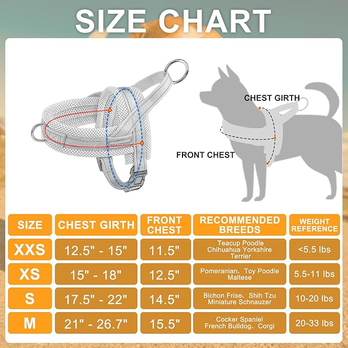 BEAUTYZOO Dog Harness for Small Dogs, No Pull Dog Harness and Leash Set, Soft Escape Proof Puppy Vest Harness with Handle, Reflective Lightweight Step in Harness for Girl Boy Dogs, Pink XS