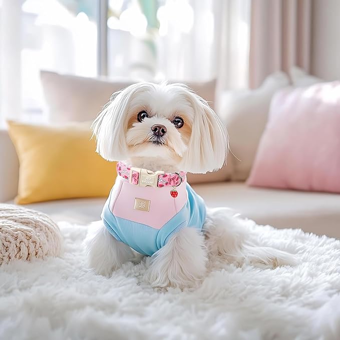 Strawberry Bow Dog Collar for Giant Large Dogs - Cute Pink Spring/Summer Girl Dog Collars, Lightweight Adjustable Female Girly Dogs Collars with Quick Release Buckle XL